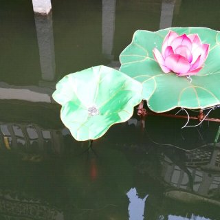 《雷雨》繁猗求萍27248沪剧 茶花女-望窗外36448玉茹自叹55682年轻